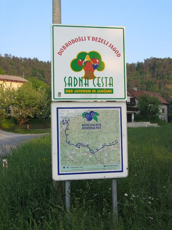 Pri Lazarju Farm Stay Podgrad  Exterior foto